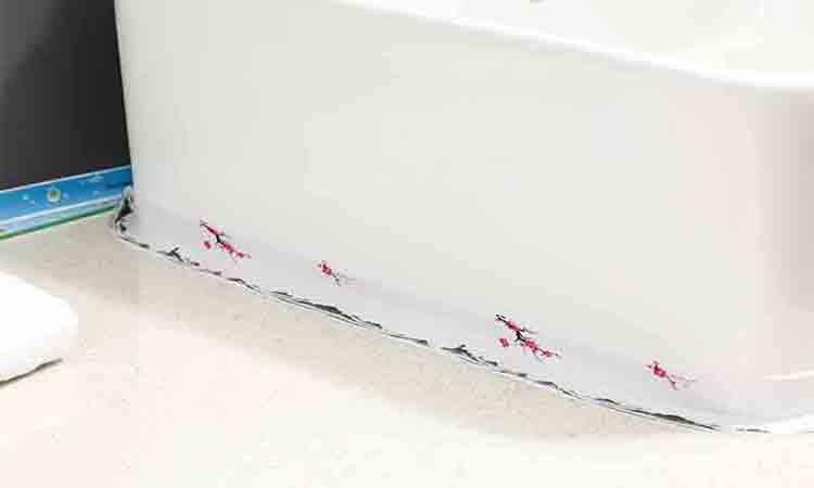 Application of anti-mold waterproof tape (7).jpg