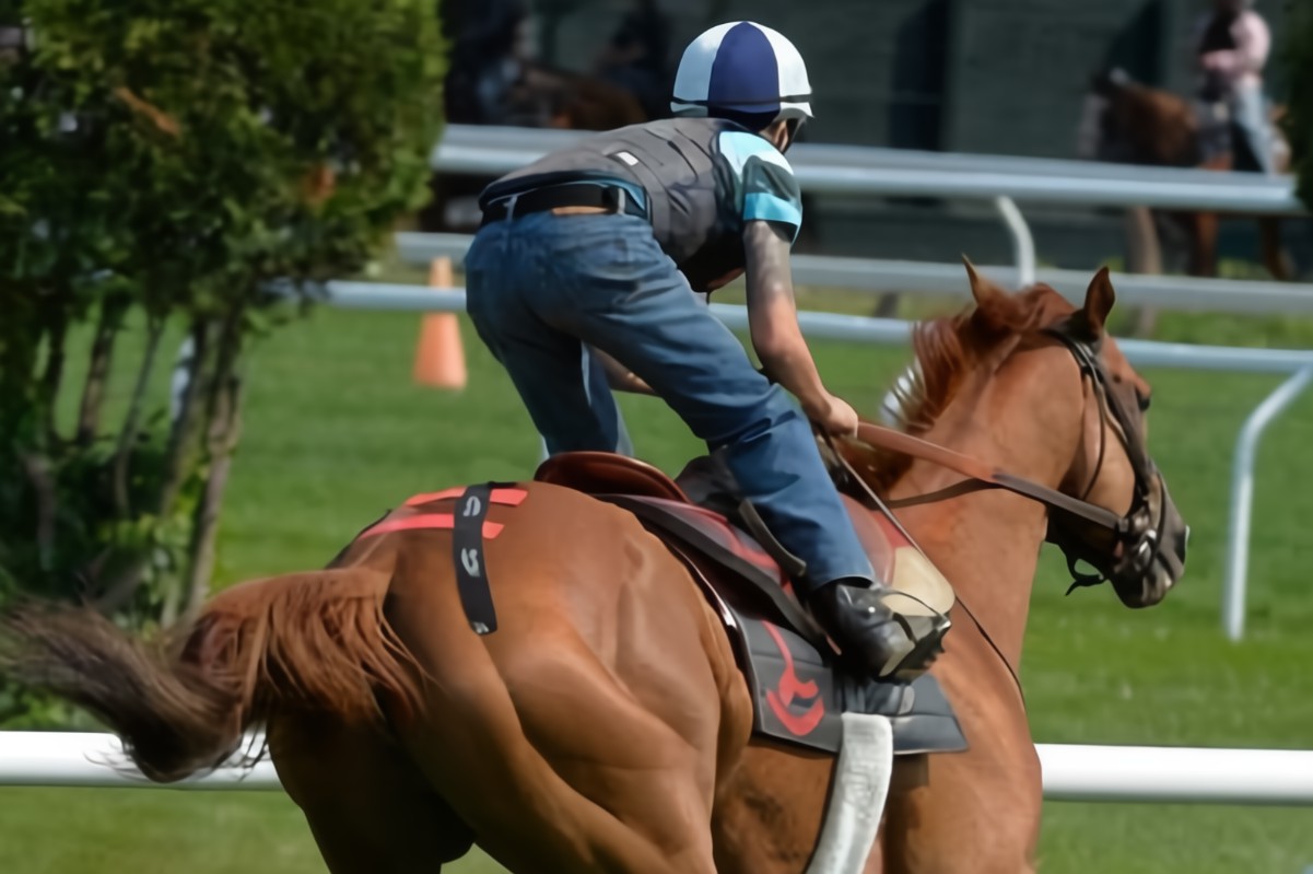 Can kinesiology tape be used on horses?